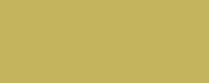 Barva LifeColor UA426 Olive Drab green tone (22ml)