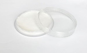 Barva pro malování na tělo a obličej Fengda body painting white 30 g