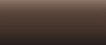 LifeColor Liquid Pigments LPW01 Burnt Umber (22ml)