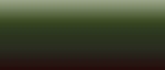 LifeColor Liquid Pigments LPW03 Burnt Olive (22ml)