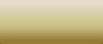 LifeColor Liquid Pigments LPW12 Road Dust (22ml)