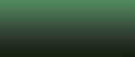 LifeColor Liquid Pigments LPW16 Fouling Green (22ml)