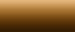 LifeColor Liquid Pigments LPW19 Wooden Deck Shadower (22ml)