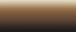 LifeColor Liquid Pigments LPW22 Carriage Grime (22ml)