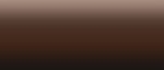 LifeColor Liquid Pigments LPW24 Frame Dirt (22ml)