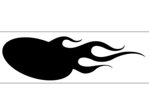 Airbrush šablona plameny/flames C003