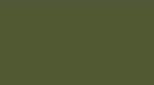 Barva LifeColor UA245 FINNISH WWII ARMY Sammaleenvihreä N:o 2 Moss G... (22ml)