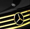 mercedes-vito-639-grille-24k-gold-plated-chrome-inserts-including-centre-star-.-331-p.jpg