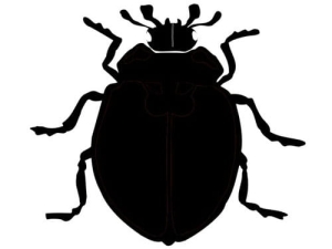 Airbrush tetovací šablona M038