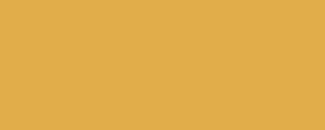 Barva LifeColor UA528 Giallo Mimetico16 (22ml)