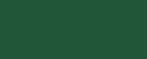 Barva LifeColor UA216 Verde scuro (22ml)