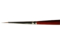 lif-542-00.jpg