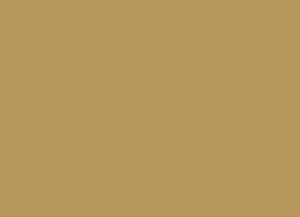 Barva LifeColor UA901 IDF Sandgrey 1 (22ml)