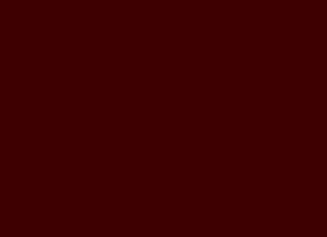 Barva LifeColor UA907 Burned rust (22ml)