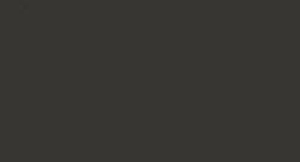 Barva LifeColor UA731 Dirty Black (22ml)