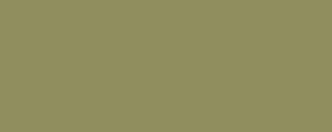 Barva LifeColor UA213 Grigio-Verde chiaro (22ml)